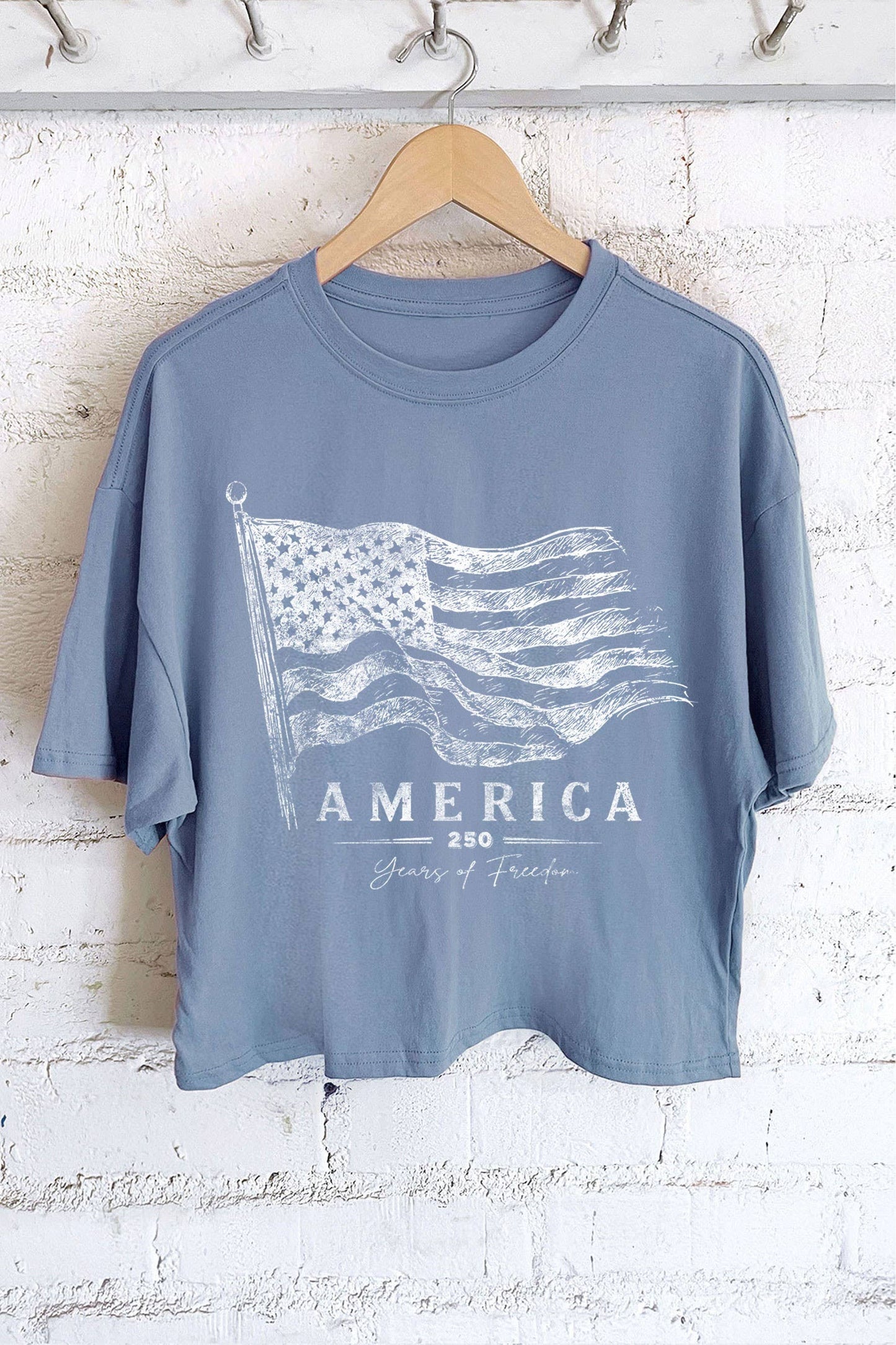 AMERICA 250 Graphic Crop T-Shirt
